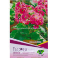 FL01 2018 nouvelles graines de fleurs roses différents types de graines de fleurs à vendre